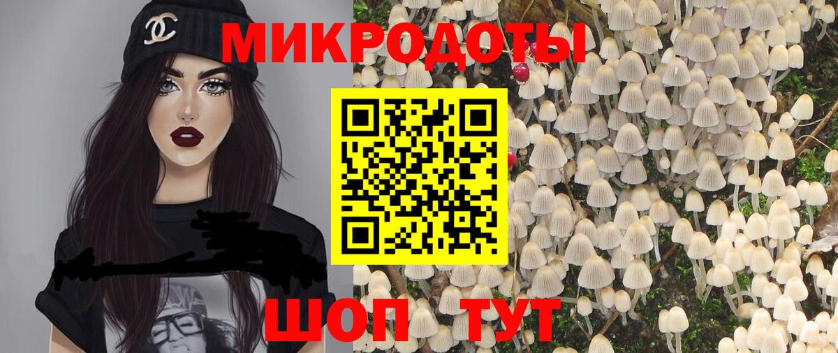 Псилоцибиновые грибы прущие грибы Гай