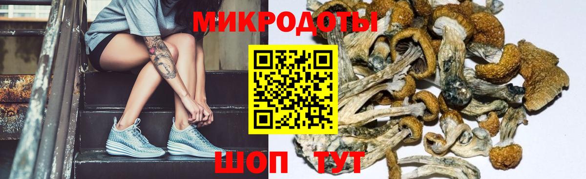 Гай  Галлюциногенные грибы мухоморы  Галлюциногенные грибы MAGIC MUSHROOMS  Вход с VPN 